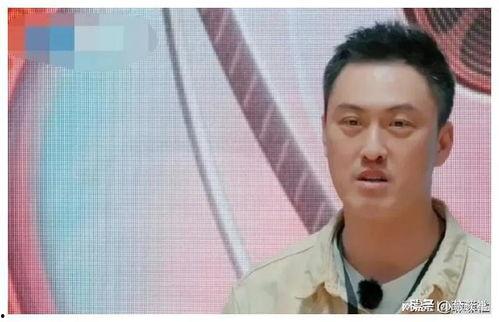 娱乐圈经典吃瓜,揭秘那些年我们追过的“吃瓜”大事件