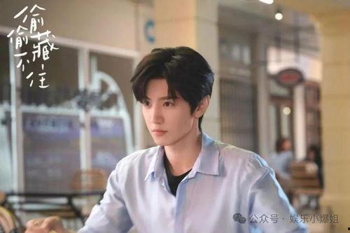 娱乐吃瓜喵陈哲远,娱乐吃瓜喵的星光之路