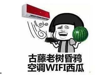 娱乐吃瓜酱你学废了吗,揭秘娱乐圈背后的秘密，你学废了吗？